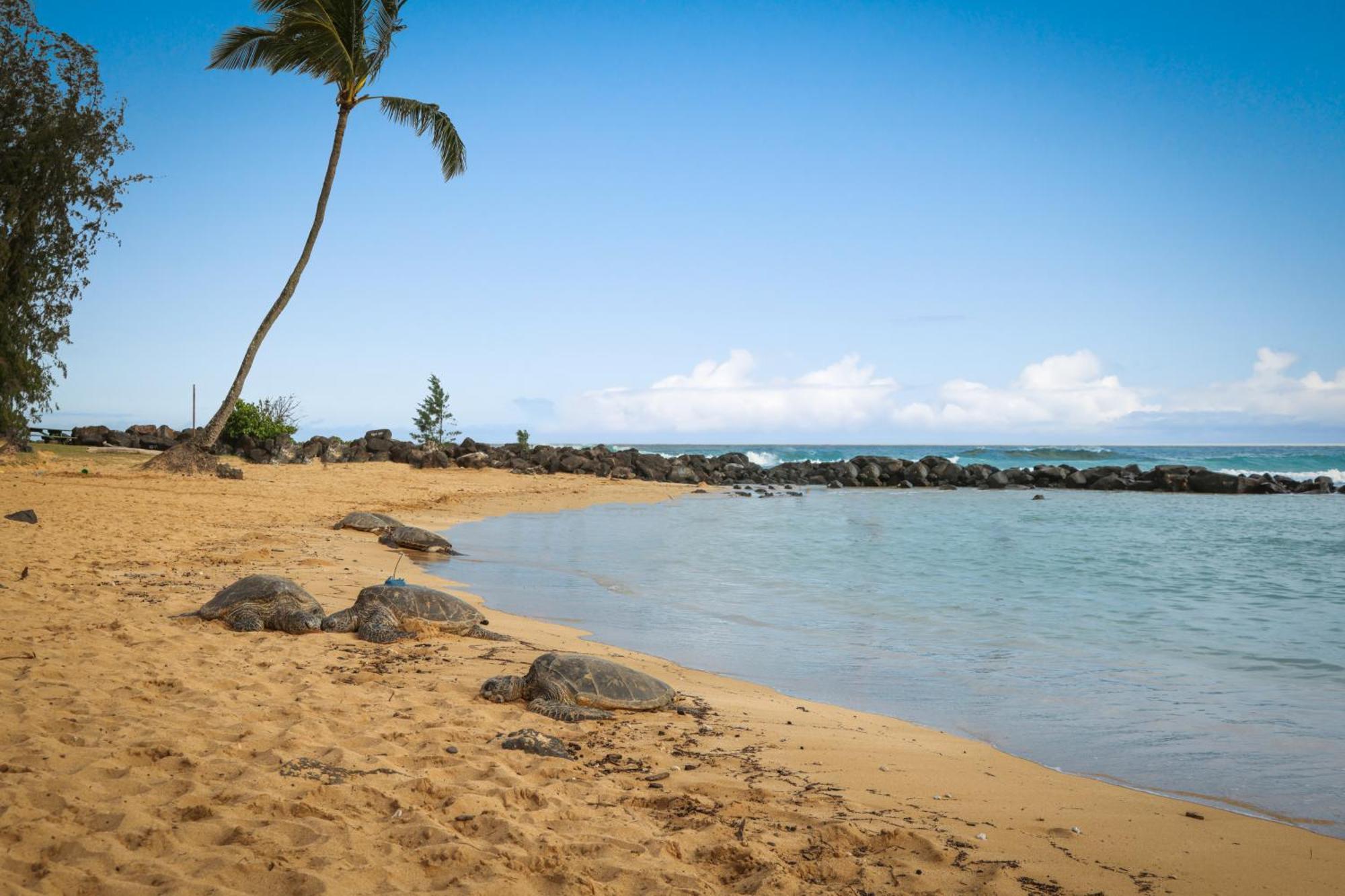 Aston At Poipu Kai Aparthotel Koloa Kültér fotó